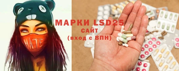 винт Осинники