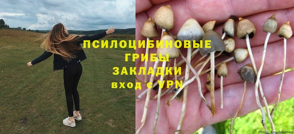 герыч Осташков
